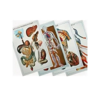 Таблицы рельефные - «globural.ru» - Новосибирск