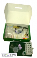 Миникейс учащегося «Начальная школа» - «globural.ru» - Новосибирск