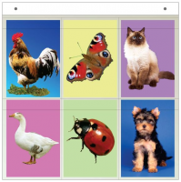 Касса "Предметные картинки" - «globural.ru» - Новосибирск