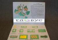 Коллекция «Шелк» для начальной школы - «globural.ru» - Новосибирск