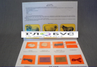 Коллекция «Шерсть» для начальной школы - «globural.ru» - Новосибирск