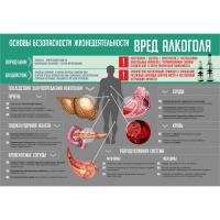 Стенд "Алкоголь" - «globural.ru» - Новосибирск