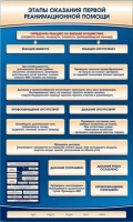 Электрифицированный стенд-тренажер "Этапы оказания первой реанимационной помощи" - «globural.ru» - Новосибирск