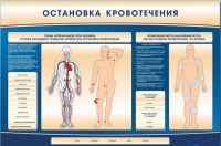 Электрифицированный стенд-тренажер "Остановка кровотечения" - «globural.ru» - Новосибирск