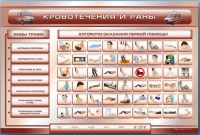 Трехсекционный базовый комплект "Травмы. Кровотечения. Ожоги" для учащихся общеобразовательных учреждений - «globural.ru» - Новосибирск
