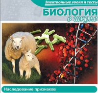 CD "Биология в школе. Наследование признаков" (электронные уроки и тесты) - «globural.ru» - Новосибирск