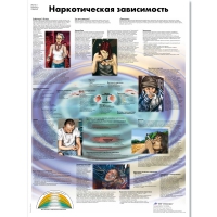 Плакат "Наркотическая зависимость", ламинированный, 50*67 см - «globural.ru» - Новосибирск