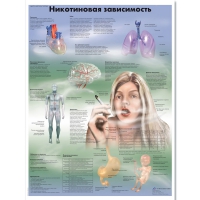 Плакат "Никотиновая зависимость", ламинированный, 50*67 см - «globural.ru» - Новосибирск