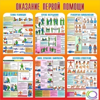 Стенд "Оказание первой помощи" - «globural.ru» - Новосибирск