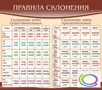 Стенд "Правила склонения" - «globural.ru» - Новосибирск