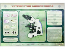 Электрифицированный стенд "Устройство микроскопа и правила работы c ним" - «globural.ru» - Новосибирск