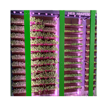 Вертикальная ферма "Моя Микрозелень" комплектация Школьная - «globural.ru» - Новосибирск