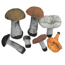 Набор муляжей грибов 7 штук - «globural.ru» - Новосибирск