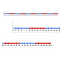 Нумирошка. Числовая прямая 0-100 по методике Нумикон - «globural.ru» - Новосибирск