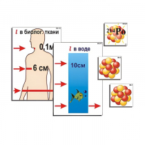 Модель-аппликация "Явление радиоактивности" (ламинированная) - «globural.ru» - Новосибирск