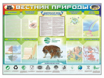 Стенд-уголок "Вестник природы" (вариант 1) - «globural.ru» - Новосибирск