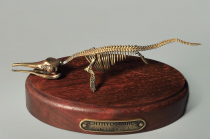 Модель скелета ихтиозавра Ichthyosaurus - «globural.ru» - Новосибирск