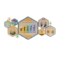 «Стендум - Биология» - набор информационно-методических панелей (10 шт.) - «globural.ru» - Новосибирск