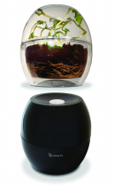 Набор для выращивания растений на свету и в темноте - «globural.ru» - Новосибирск