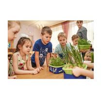 Обучающий комплект экологической направленности "Сити-фермер 2.0 Детский сад" на 30 человек VIP - «globural.ru» - Новосибирск