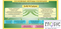 Стенд "Методы селекции и биотехнологии" - «globural.ru» - Новосибирск