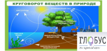 Стенд "Круговорот веществ" - «globural.ru» - Новосибирск