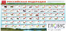Стенд "Красная книга РФ" - «globural.ru» - Новосибирск