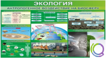 Стенд "Экология. Антропогенное воздействие на биосферу" - «globural.ru» - Новосибирск