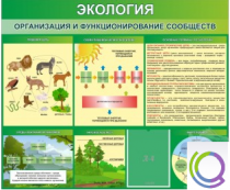 Стенд "Экология. Организация и функционирование сообществ" - «globural.ru» - Новосибирск