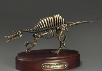 Модель скелета динозавра Spinosaurus - «globural.ru» - Новосибирск