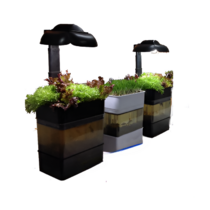 Учебная установка "Аквапоника"  - «globural.ru» - Новосибирск