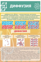 Стенд "Диффузия" - «globural.ru» - Новосибирск