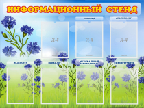 Стенд информационный с 7 карманами - «globural.ru» - Новосибирск