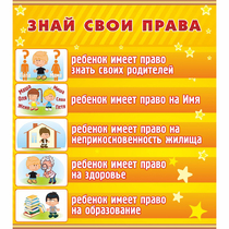 Стенд "Знай свои права" - «globural.ru» - Новосибирск