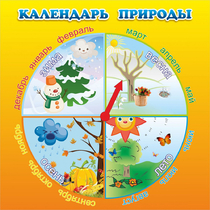 Стенд "Календарь природы" 0.5x0.5 - «globural.ru» - Новосибирск
