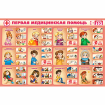 Стенд "Первая помощь" - «globural.ru» - Новосибирск