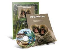 Электронное наглядное пособие «Эволюция» - «globural.ru» - Новосибирск