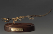 Модель скелета мозазавра Mosasaurus - «globural.ru» - Новосибирск