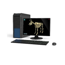 Макет масштабный «Скелет Коровы» Масштаб 1:2 - «globural.ru» - Новосибирск