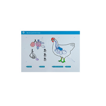 Стенд-планшет светодинамический "Изучение органов дыхания сельскохозяйственных животных" со сменными панелями - «globural.ru» - Новосибирск