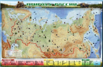 Электронно-информационный (маркерный) стенд "Природа России" - «globural.ru» - Новосибирск