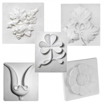 Комплект гипсовых моделей растений  - «globural.ru» - Новосибирск