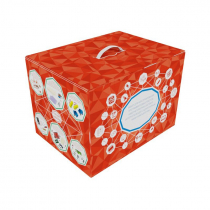 Набор для конструирования программируемых роботов, кибернетических систем и интернета вещей с одноплатным мини-компьютером - «globural.ru» - Новосибирск