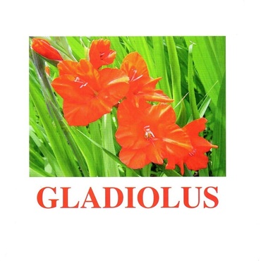 "Flowers-1" ("Цветы-1") английские карточки Домана - «globural.ru» - Новосибирск