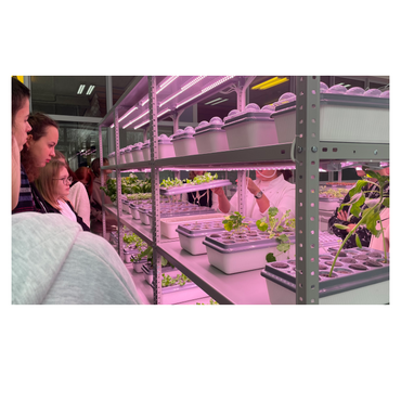 АГРОпространство для ВУЗ/СПО - «globural.ru» - Новосибирск