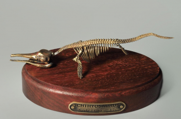 Модель скелета ихтиозавра Ichthyosaurus - «globural.ru» - Новосибирск