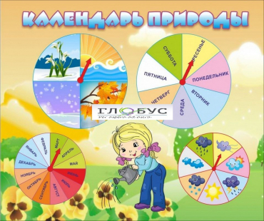 Стенд "Календарь природы" (вариант 1) - «globural.ru» - Новосибирск