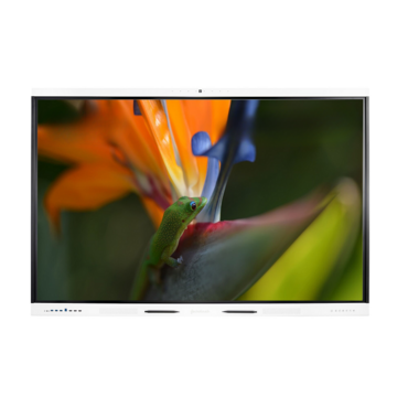 Интерактивная панель Geckotouch Interactive 98SL - «globural.ru» - Новосибирск