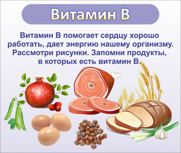 Стенд "Витамин В" - «globural.ru» - Новосибирск