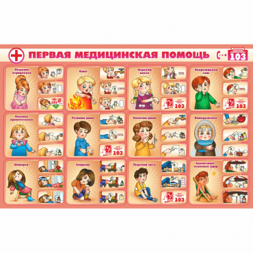Стенд "Первая помощь" - «globural.ru» - Новосибирск